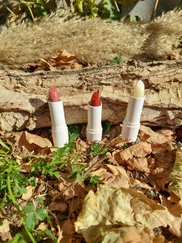 بالم لب های گیاهی و ارگانیک در ۳ رنگ آبرسان،تقویت کننده و ضد خشکی و ترک های لب